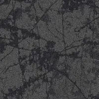 36104 Imprint