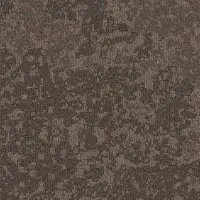 35504 Fallen Leaf