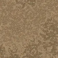 35503 Golden Tone