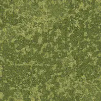 35513 Greenery Moss