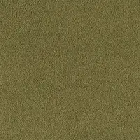500 Olive