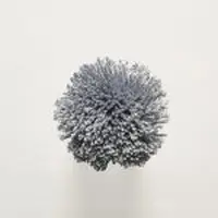 T109 Greyish Blue