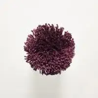 T10 Purple