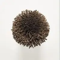 T8 Chocolate
