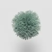 TW547 Sea Green