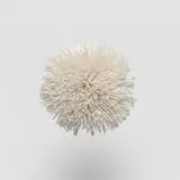 TW502 Angora