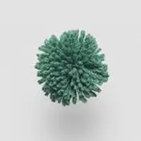 W223 Pepper Green