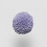 W759 Lilac
