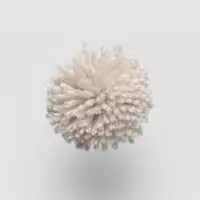 W751 Pastel
