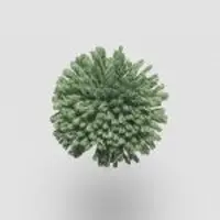 W770 Garden Green