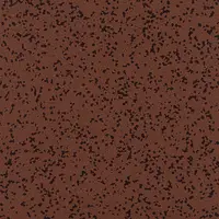 5251