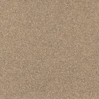 4207 Sandstone